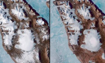 Temperatura-Média-Do-Ártico-Aumenta-10ºc,-Derretendo-Camada-De-Gelo-Em-Ilha-Da-Groenlândia;