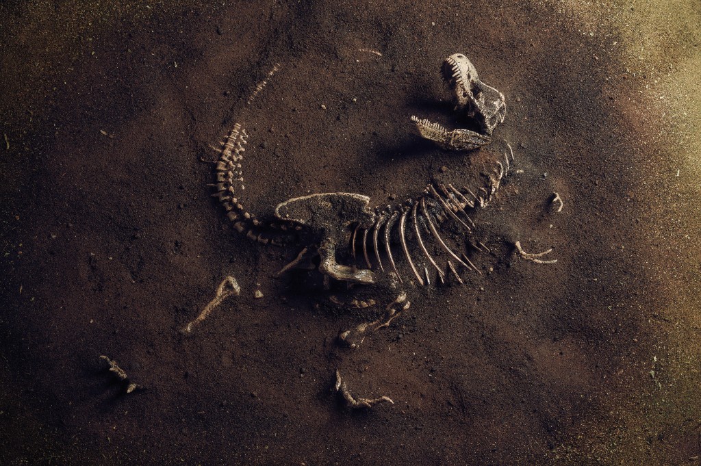 Evolução-Dos-Dinossauros