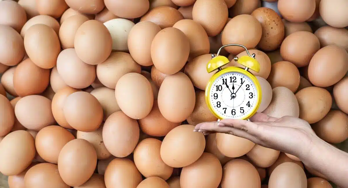 despertador-de-ovos-30-invencoes-geniais-que-mudaram-o-mundo