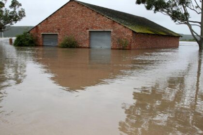 rio grande do sul contribuição expressiva no pib nacional e desafios climáticos