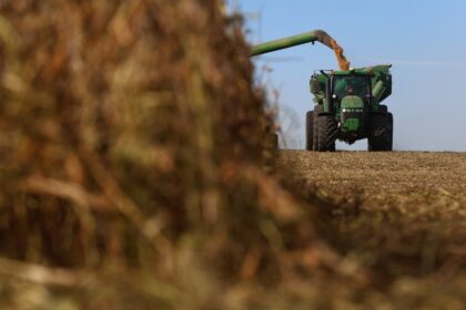 Colheita de grãos: trator verde descarrega soja em campo aberto sob céu azul, destacando atividade agrícola moderna.