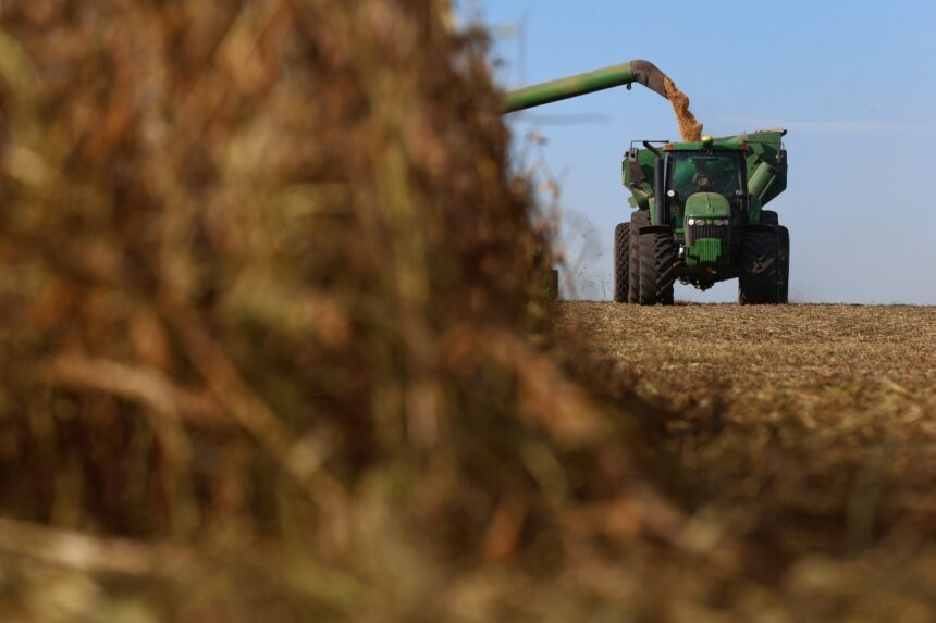Colheita de grãos: trator verde descarrega soja em campo aberto sob céu azul, destacando atividade agrícola moderna.
