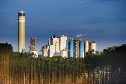 Fábrica de celulose rodeada por floresta de eucaliptos e céu azul ao fundo, destacando indústria e sustentabilidade.