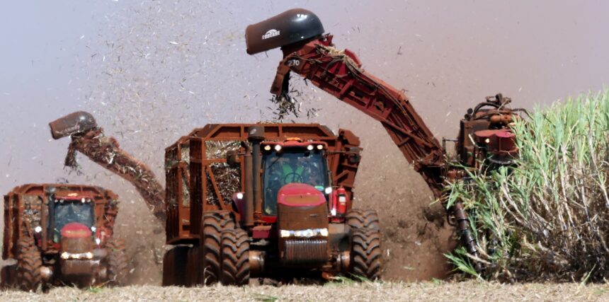 Máquinas agrícolas colhem cana-de-açúcar em campo, destacando-se a atividade automatizada no agronegócio brasileiro.
