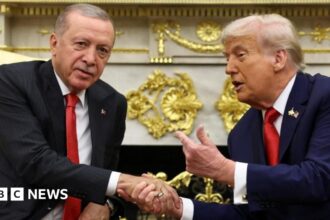 Trump urges Erdogan to stop buying Russian oil as they meet at White House - live updates