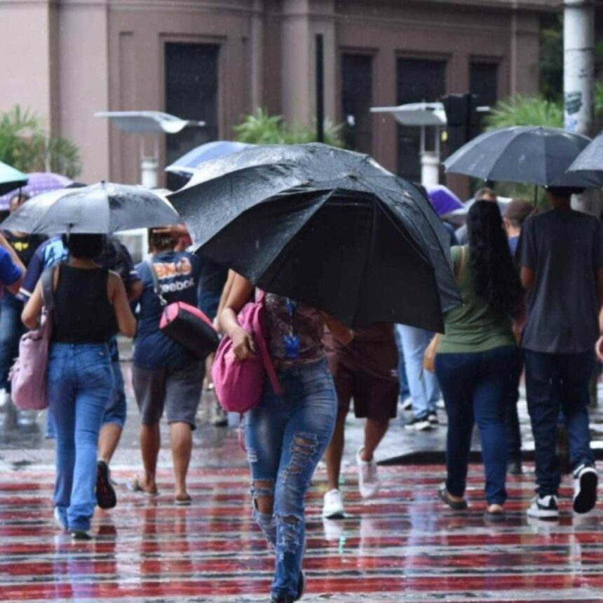 BH está em alerta para pancadas de chuva; saiba como se proteger