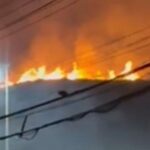 VÍDEO: Incêndio atinge morro na Avenida Paralela e assusta motoristas