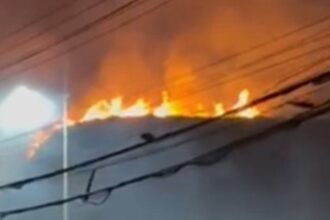 VÍDEO: Incêndio atinge morro na Avenida Paralela e assusta motoristas