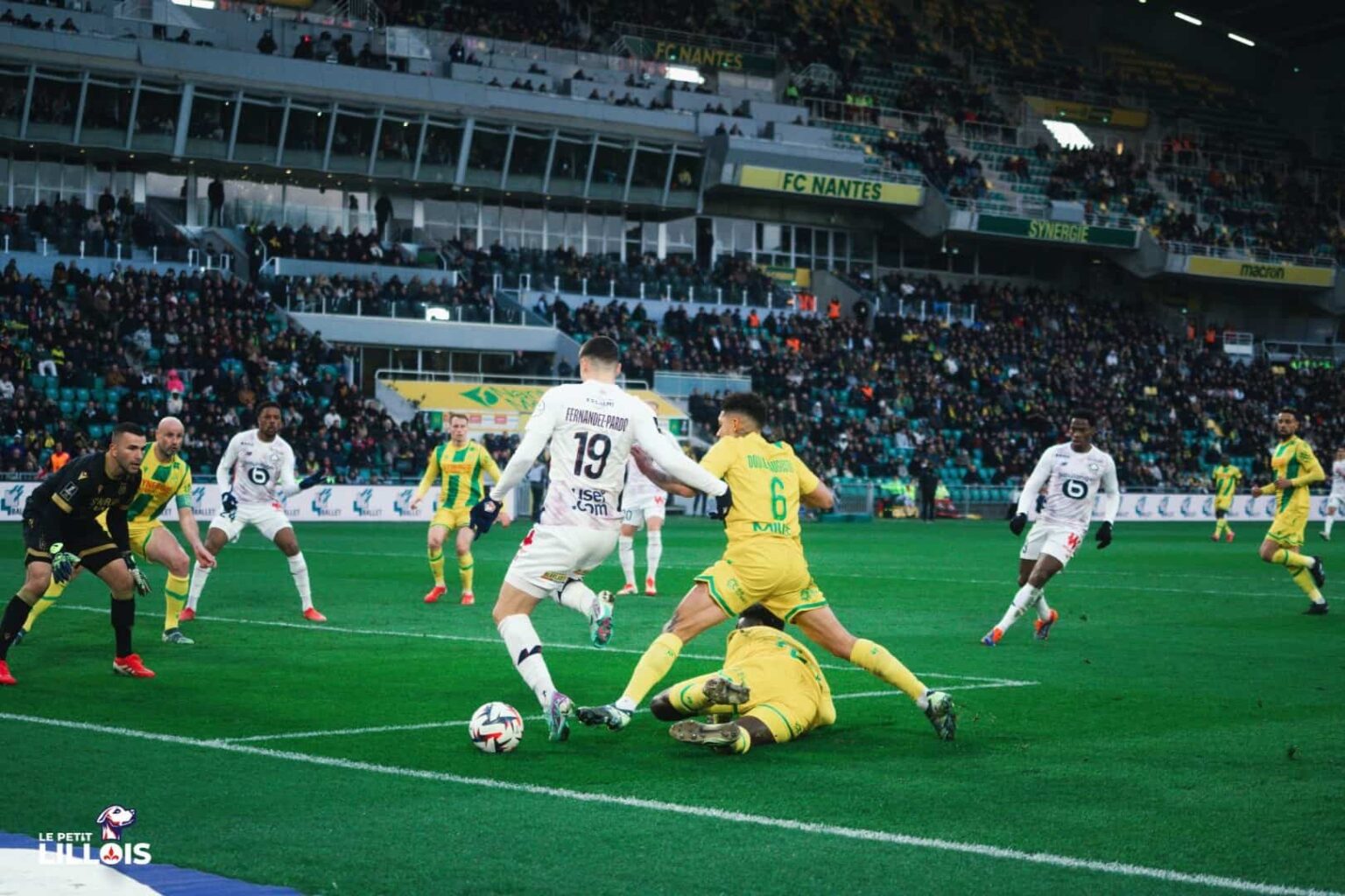 73 % de succès : La majorité des supporters lillois optimiste avant FC Nantes - LOSC