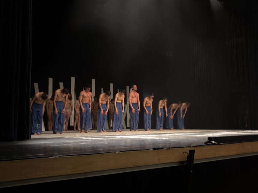 O que o público achou da abertura do Festival de Dança?