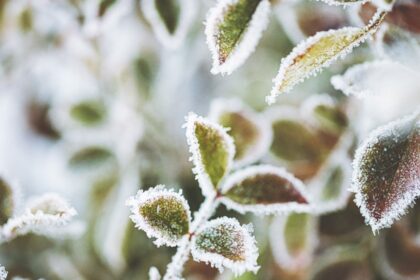 Semana inicia fria com risco de geada no Sul e Sudeste Imagem Chuva enfraquece em Salvador e volta a aumentar no Sul da Bahia