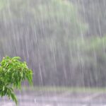 Alerta amarelo de chuvas intensas em Ferraz de Vasconcelos até sábado INMET emite alerta amarelo de chuvas intensas com risco de corte de energia em Ferraz de Vasconcelos e Região até sábado (1)