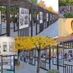 Expoziția „Sfântul Preot Mucenic Liviu Galaction de la Cluj – mărturisitor în temnițele comuniste”
