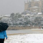 Schnee unter Palmen: Ist Mallorca ein guter Zufluchtsort im Winter?