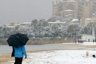 Schnee unter Palmen: Ist Mallorca ein guter Zufluchtsort im Winter?