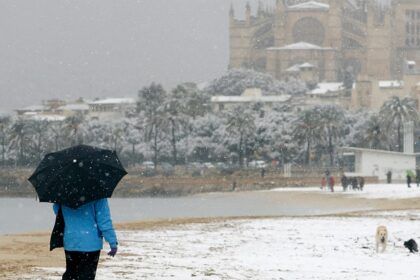 Schnee unter Palmen: Ist Mallorca ein guter Zufluchtsort im Winter?