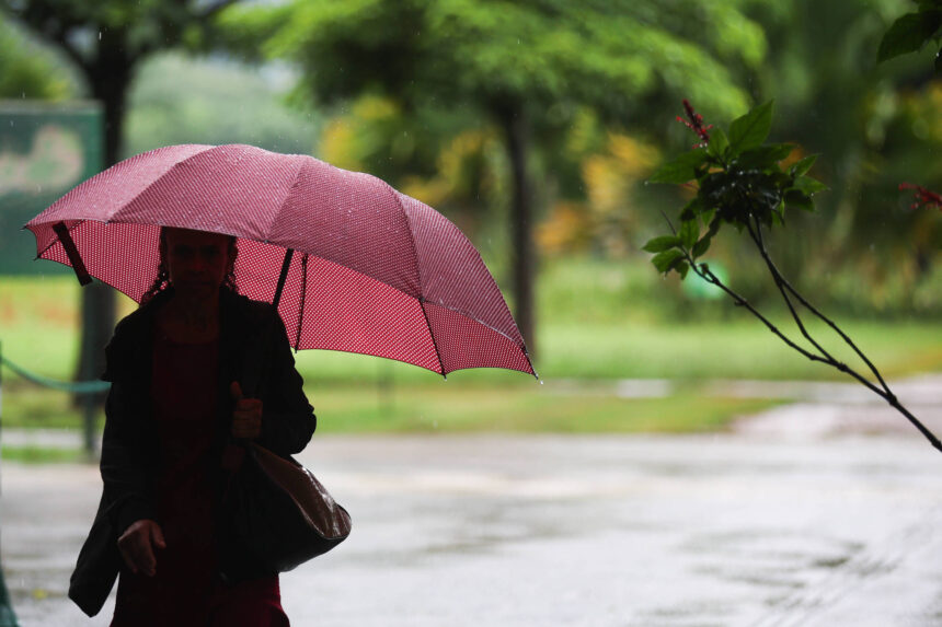 Chuva prevista para São Paulo no fim de semana A imagem mostra a silhueta de uma pessoa segurando um guarda-chuva vermelho em um dia chuvoso. O fundo é desfocado, com árvores verdes e um ambiente úmido. A pessoa parece estar caminhando, vestindo roupas escuras e carregando uma bolsa.