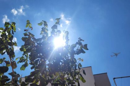 imagem mostra um céu azul claro com algumas nuvens brancas. No centro, há um brilho intenso do sol, que está parcialmente coberto por folhas verdes de uma árvore. A parte inferior da imagem apresenta uma estrutura de edifício, mas não é possível ver muitos detalhes.