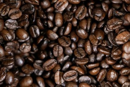 Brasil pode atingir recorde na safra de café em 2026!