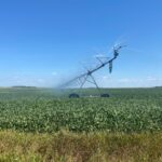 China adquire soja dos EUA, mas preços permanecem altos