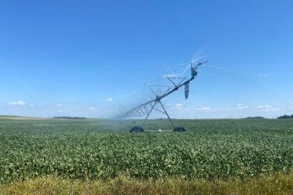 China adquire soja dos EUA, mas preços permanecem altos