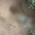 Disputa por terras na Bahia leva à prisão de idoso de 73 anos por ameaça contra irmã