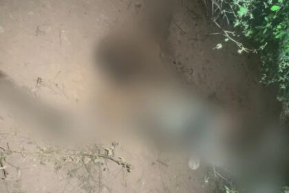 Disputa por terras na Bahia leva à prisão de idoso de 73 anos por ameaça contra irmã