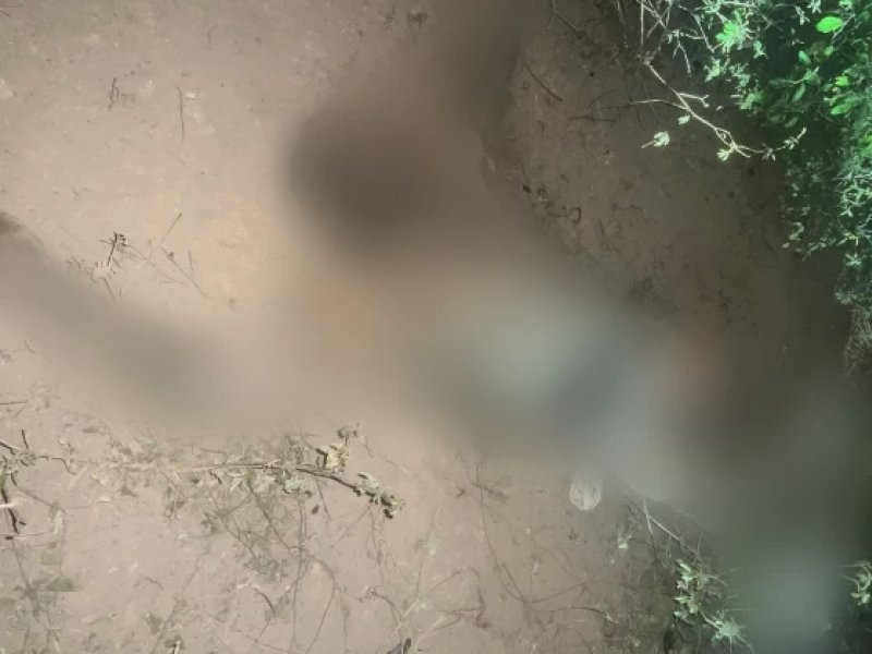 Disputa por terras na Bahia leva à prisão de idoso de 73 anos por ameaça contra irmã