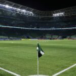 Palmeiras x Fluminense no Brasileirão: onde assistir, horário e escalações