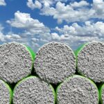 StoneX corta previsão de safra de algodão do Brasil 2025/2026