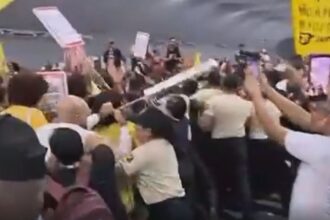 Brasil e ONU investigam invasão de manifestantes na COP30, diz fonte