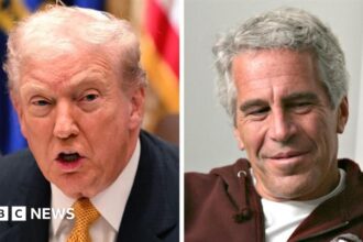 New Epstein emails that mention Trump released by House Democrats - live updates