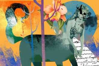 veja previsão para seu signo no dia 9/11