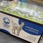 Projeto da fábrica de leite em pó de Serra Branca é apresentado durante vaquejada da Pixbet em Gurinhém