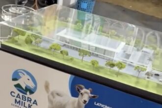 Projeto da fábrica de leite em pó de Serra Branca é apresentado durante vaquejada da Pixbet em Gurinhém
