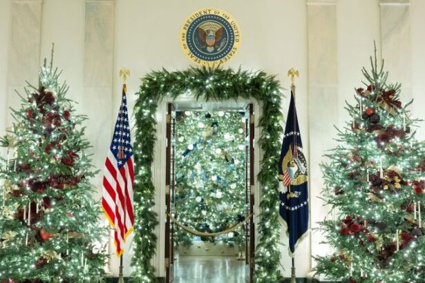 Inside this year’s White House holiday decor