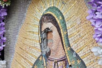Vandal Damages Our Lady of Guadalupe Parish Mosaic, Church Pews in Santa Barbara | Local News