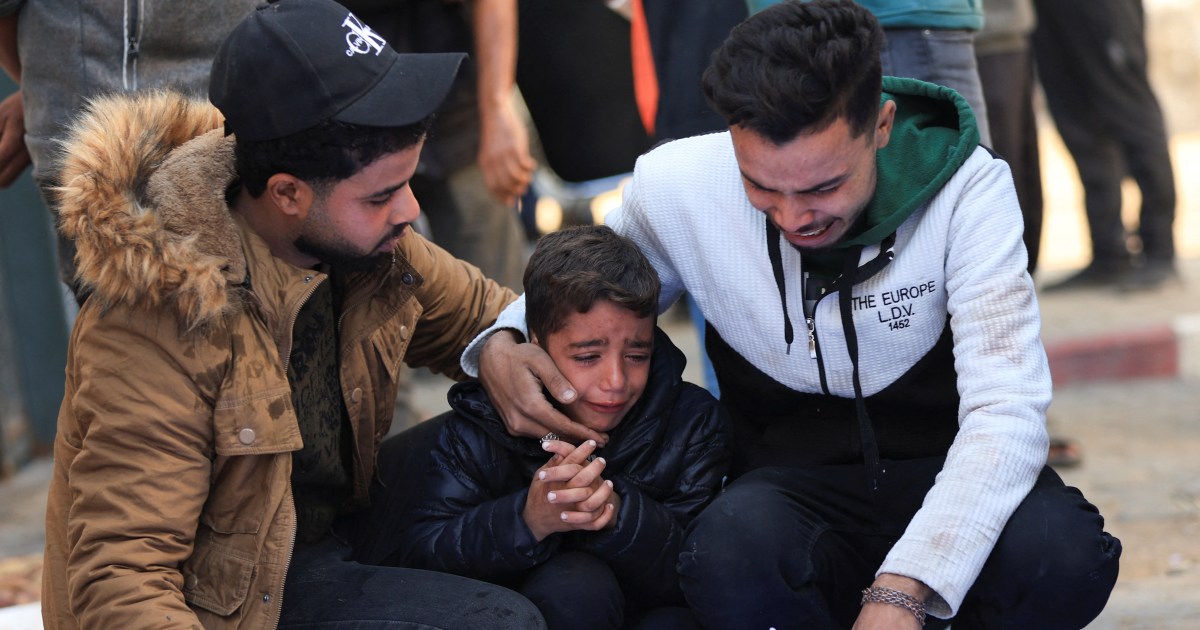 Israel confirma morte de sete em Gaza e reabertura parcial de Rafah Israel kills seven people in Gaza, says Rafah crossing to partially reopen | Israel-Palestine conflict News