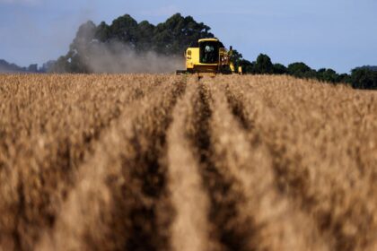 Agro e energia elevam PIB em 0,1%, mas economia desacelera