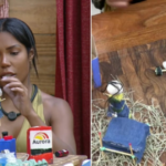 Carol Lekker cria maquete que surpreende Duda Wendling e Luiz Mesquita Carol Lekker monta maquete provocando o casal Duda Wendling e Luiz Mesquita; confira! – Record