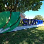 Suzano (SUZB3) projeta custos de celulose para 2027 e ações caem Suzano (SUZB3) divulga estimativas de custo de celulose em 2027 e ações despencam