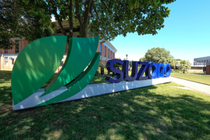 Suzano (SUZB3) divulga estimativas de custo de celulose em 2027 e ações despencam