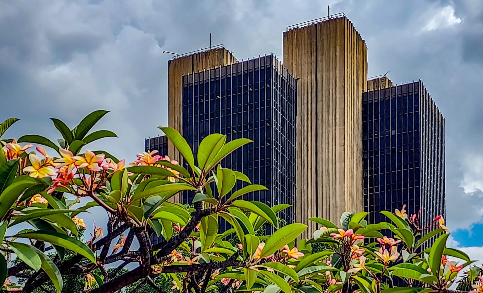 Setor financeiro apoia Banco Central e defende decisões técnicas Setor financeiro amplia apoio ao Banco Central e divulga carta defendendo decisões técnicas do órgão