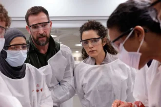 HBO Max pode se tornar "aba" dentro da Netflix após possível fusão; entenda