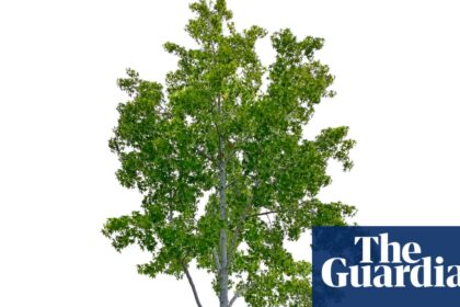 The secret to being happy in 2026? It’s far, far simpler than you think … | New year