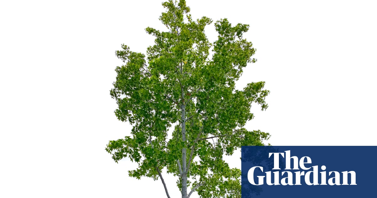 O segredo para ser feliz em 2026 é mais simples do que você imagina The secret to being happy in 2026? It’s far, far simpler than you think … | New year