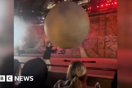 Disney World cast member hurt stopping 180-kg fake boulder from hitting audience