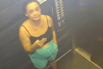 Corpo de corretora desaparecida em GO é encontrado; duas pessoas são presas