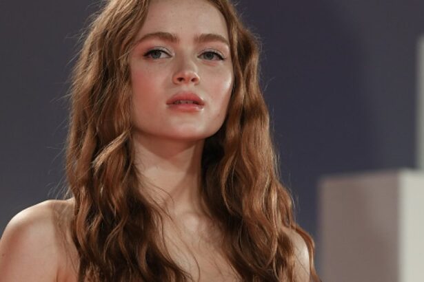 Veja os próximos projetos do elenco de ‘Stranger Things’