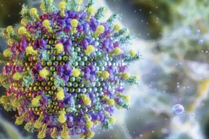 Animal que ultrapassa 1,80m é o principal portador do Vírus Nipah